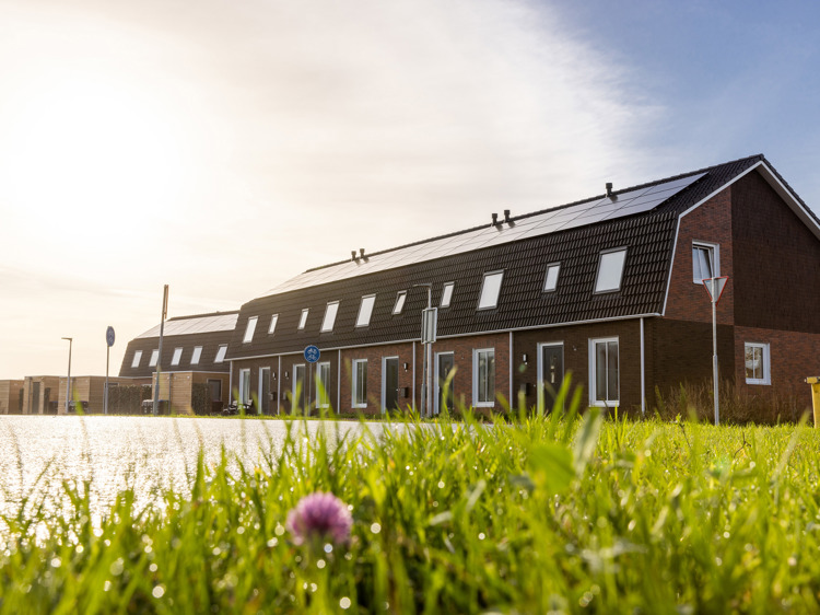 10 woningen, Buurblok  - 1