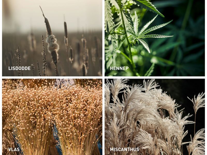 Biobased
