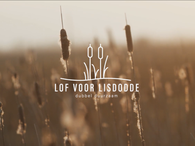 Isolatie uit ‘sigarenplant’ lisdodde houdt huizen van de toekomst Bouwgroep Dijkstra Draisma warm