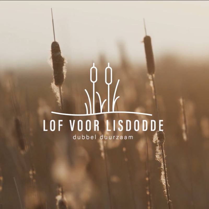 Lof voor lisdodde