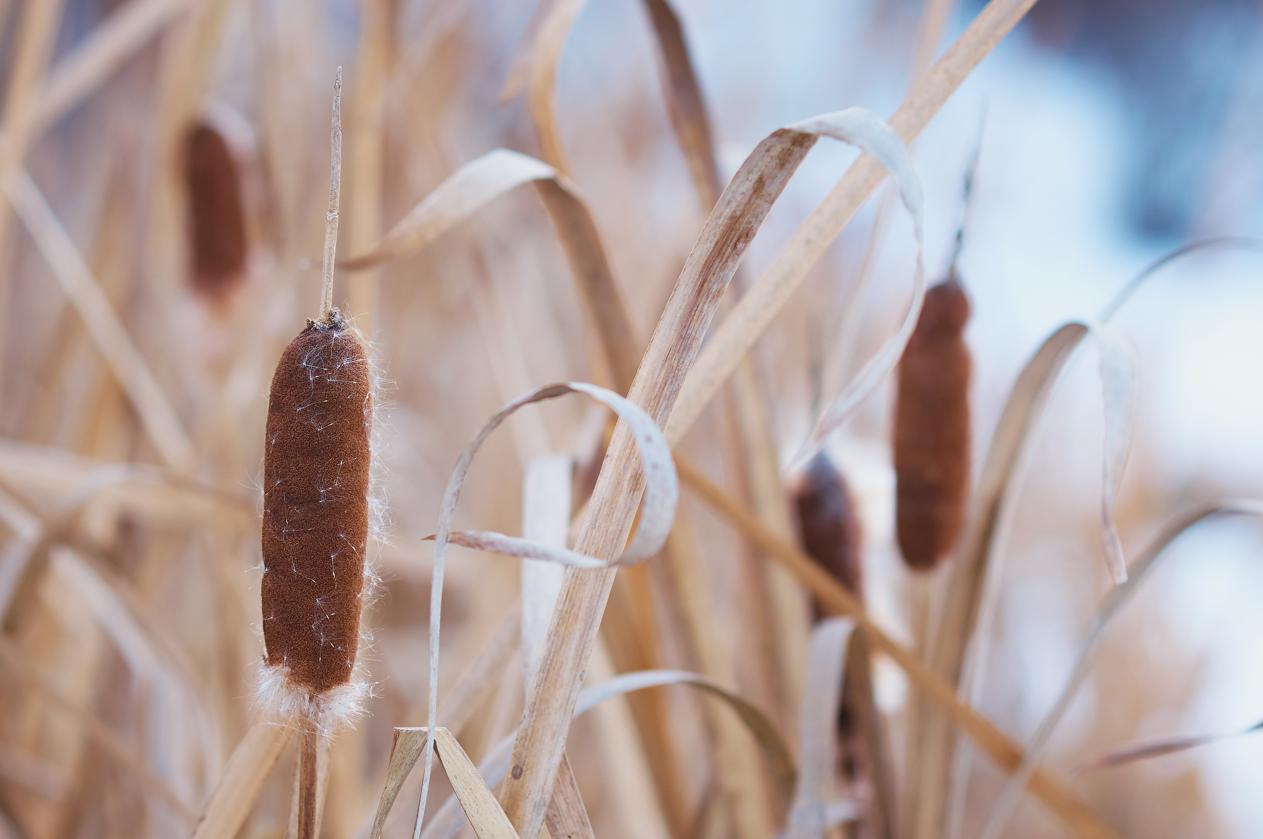 Adobestock 571274519 (1)