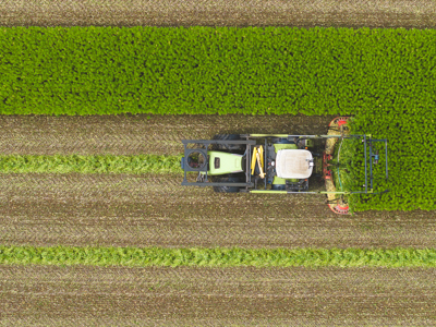 Biobased bouwen