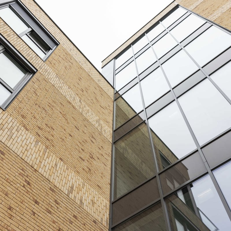 Heechterp Wilgenflat