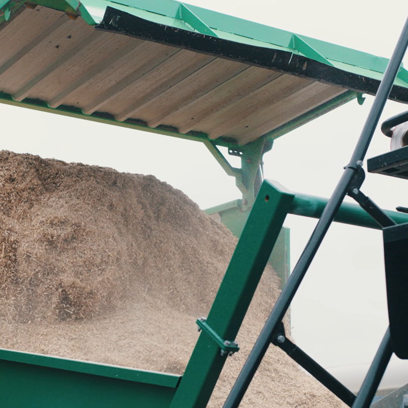 Miscanthus video BGDD