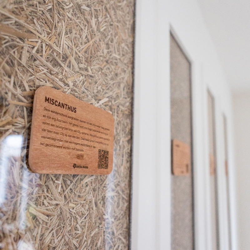 miscanthus BGDD