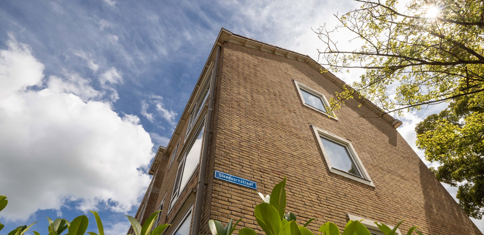 BGDD Sleedoornstraat IMAZZO 6
