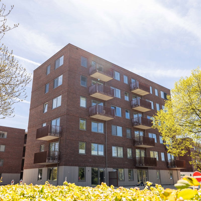 Nieuwbouw Heechterp fase 2, Leeuwarden
