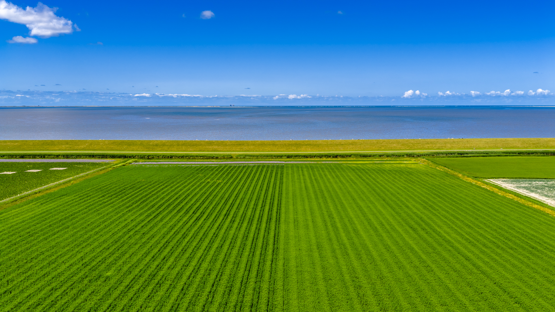 Vezelhennep 03072025 Binnelouwkatsma 87