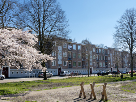 Woningverbetering 84 woningen Surinamestraat, Groningen
